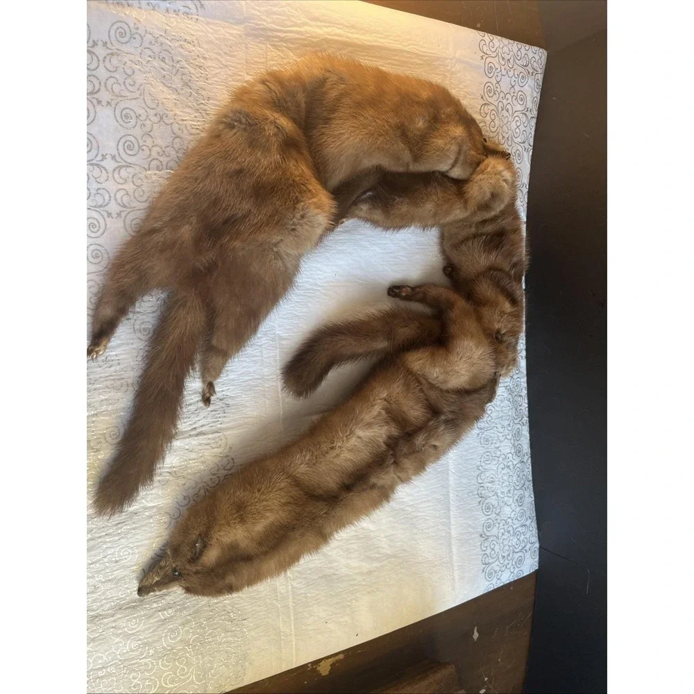 1950's L S Ayer's Co 3 Pelt Genuine Mink Fur Wrap Scarf 4 Ft Long Soft &Lovely